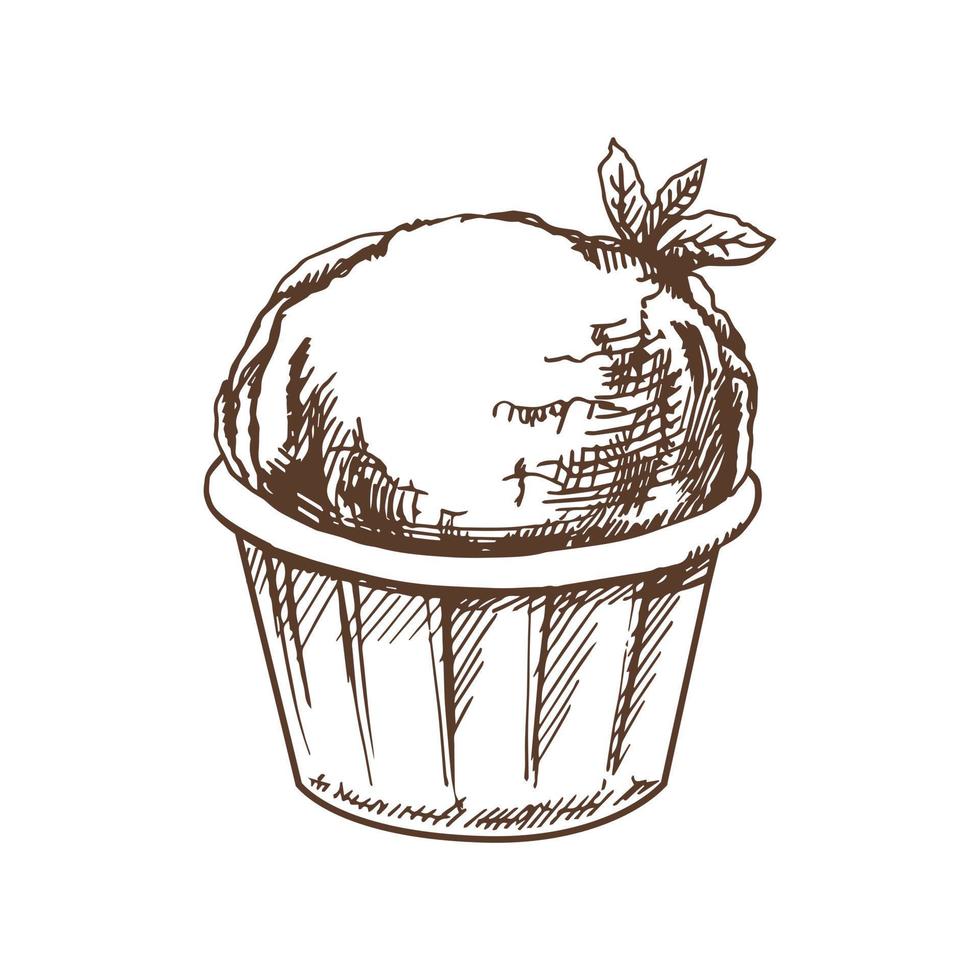 A hand-drawn sketch of an ice cream, cupcake with  mint in a cup. Vintage illustration. Element for the design of labels, packaging and postcards. vector