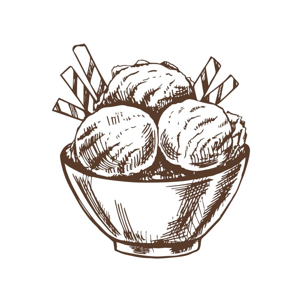 A hand-drawn sketch of an ice cream balls  in a bowl. Vintage illustration. Element for the design of labels, packaging and postcards. vector