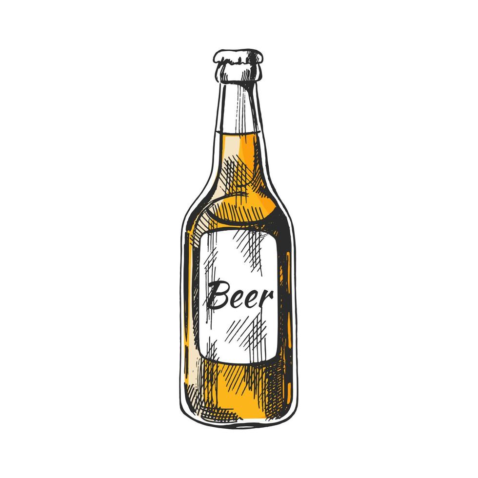 Hand-drawn sketch of  beer bottle  isolated on white background. Vector vintage engraved illustration.