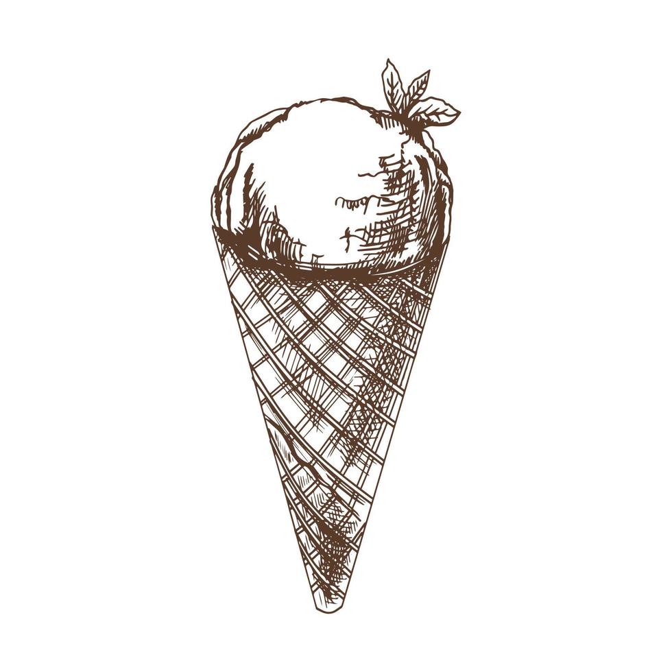 A hand-drawn sketch of a waffle cone with ice cream. Vintage illustration. Element for the design of labels, packaging and postcards. vector