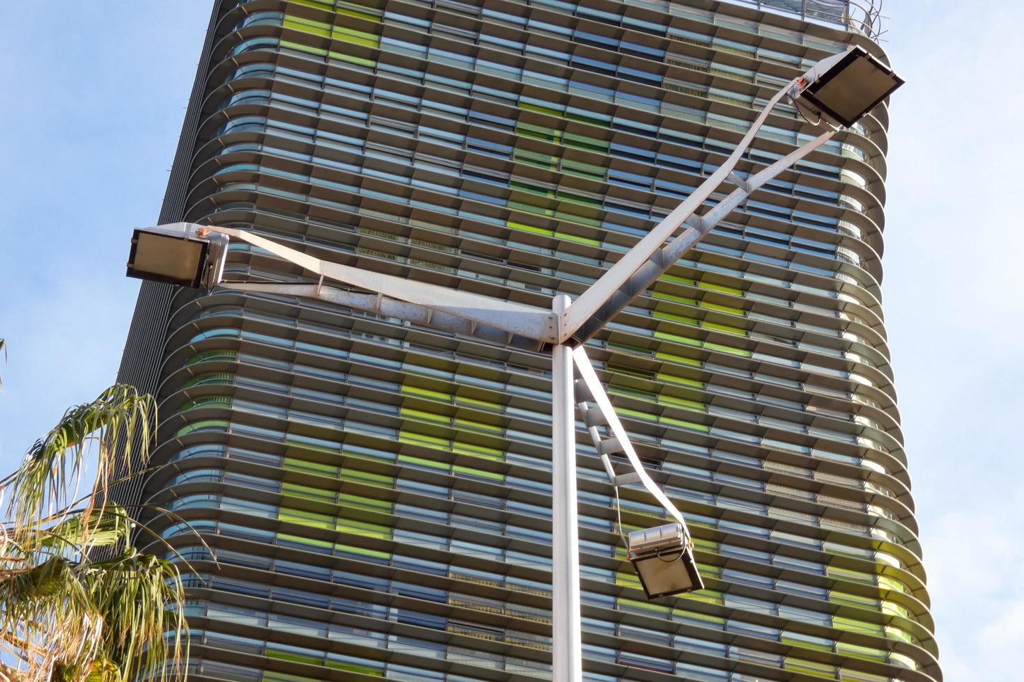 modern office building with coloured glass and palm trees photo