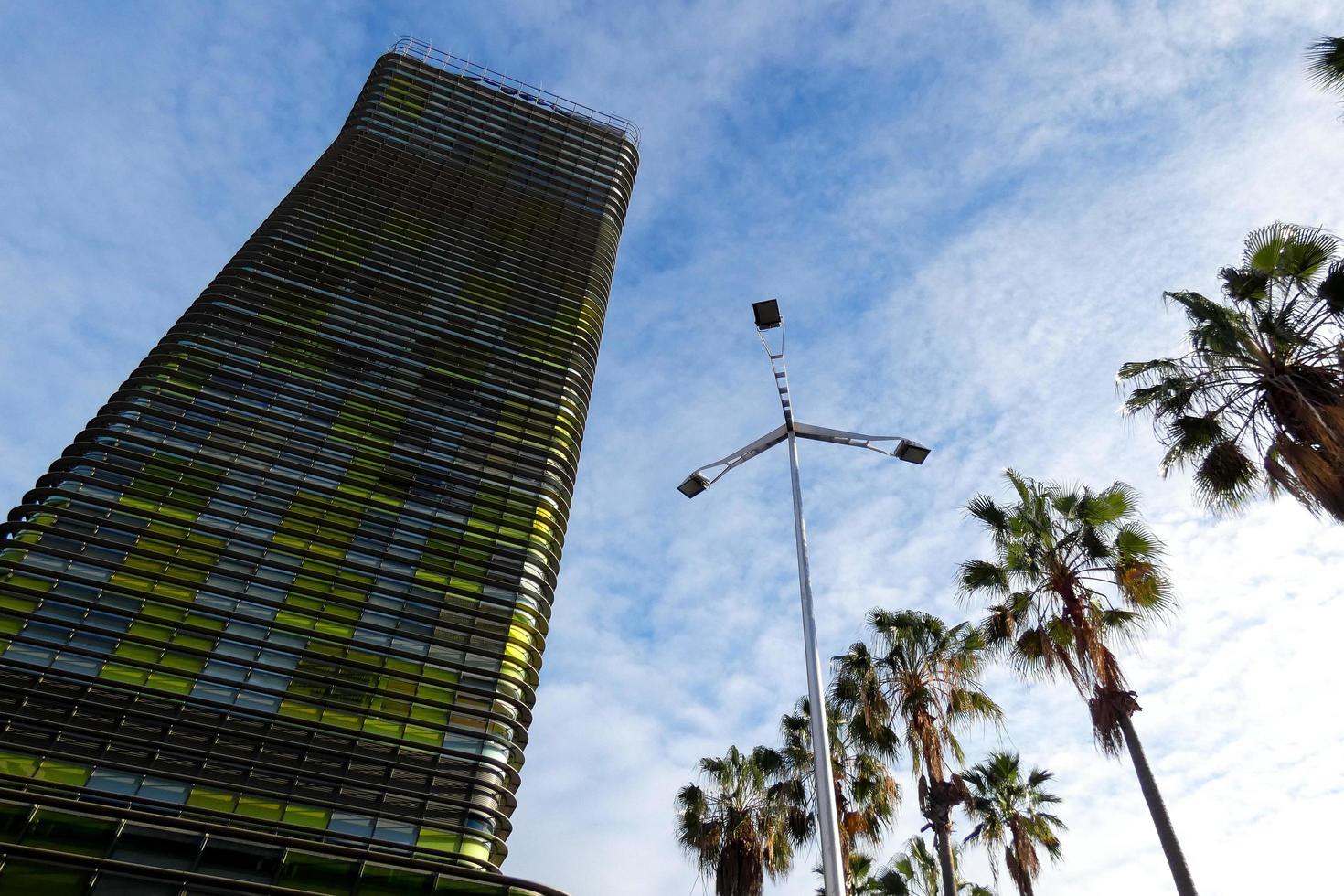 modern office building with coloured glass and palm trees photo