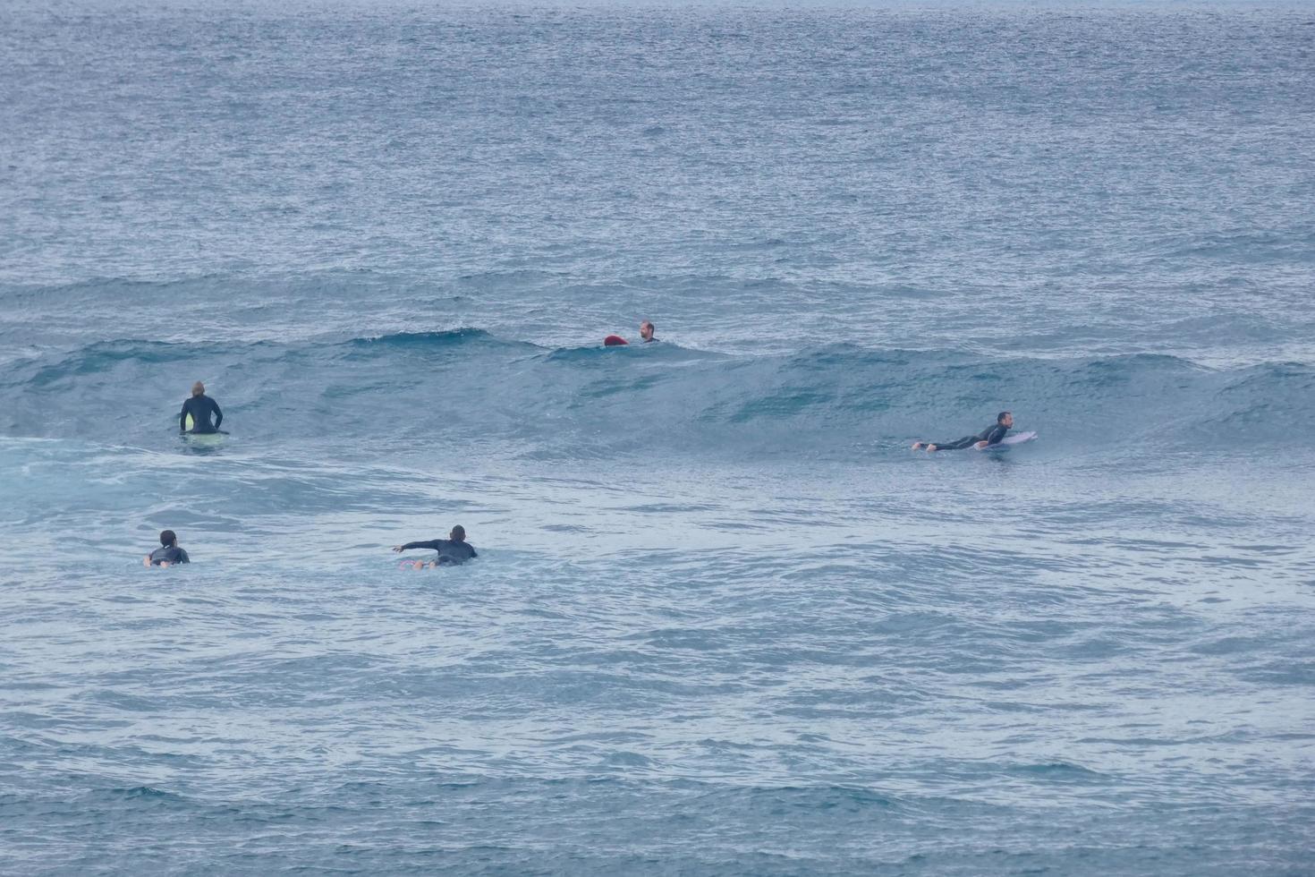 young athletes practising the water sport of surfing photo