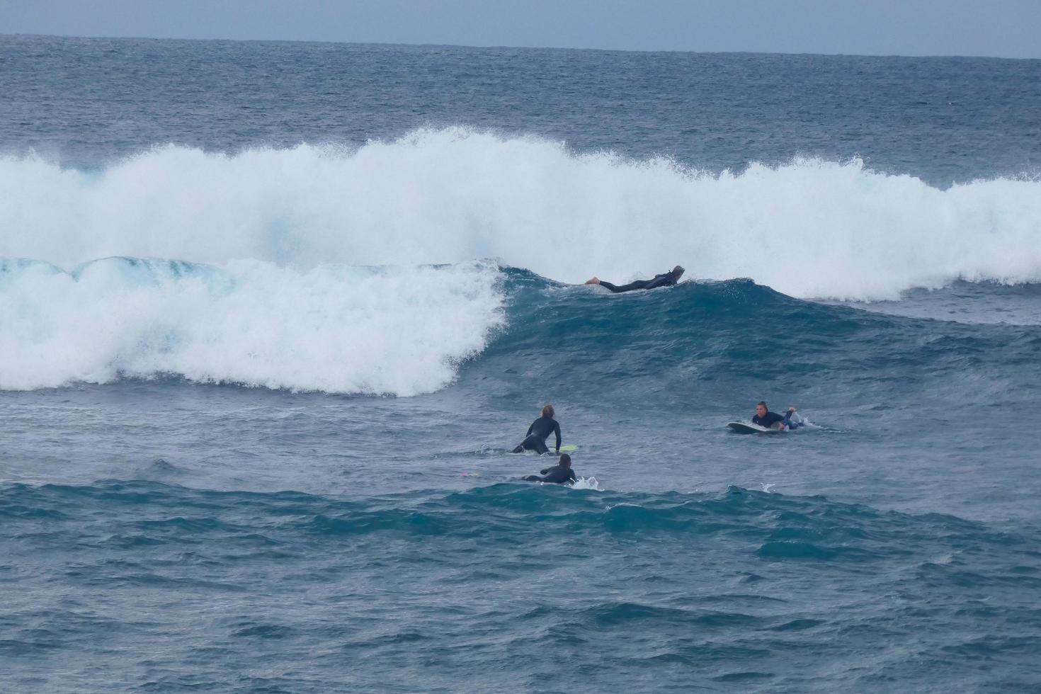 young athletes practising the water sport of surfing photo