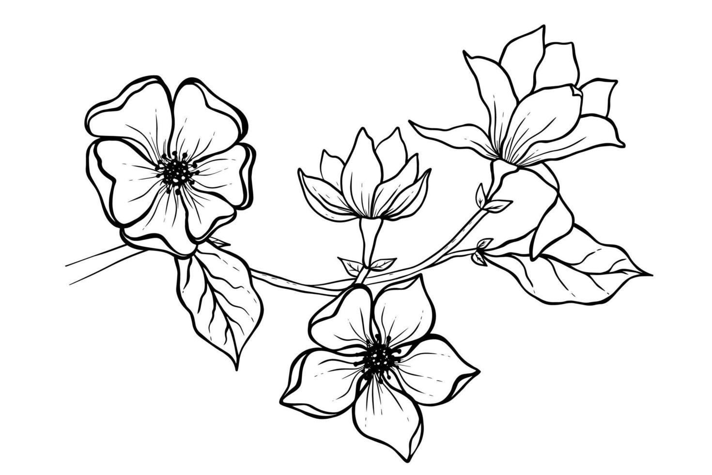 Magnolia flower drawing illustration. Black and white with line art. vector