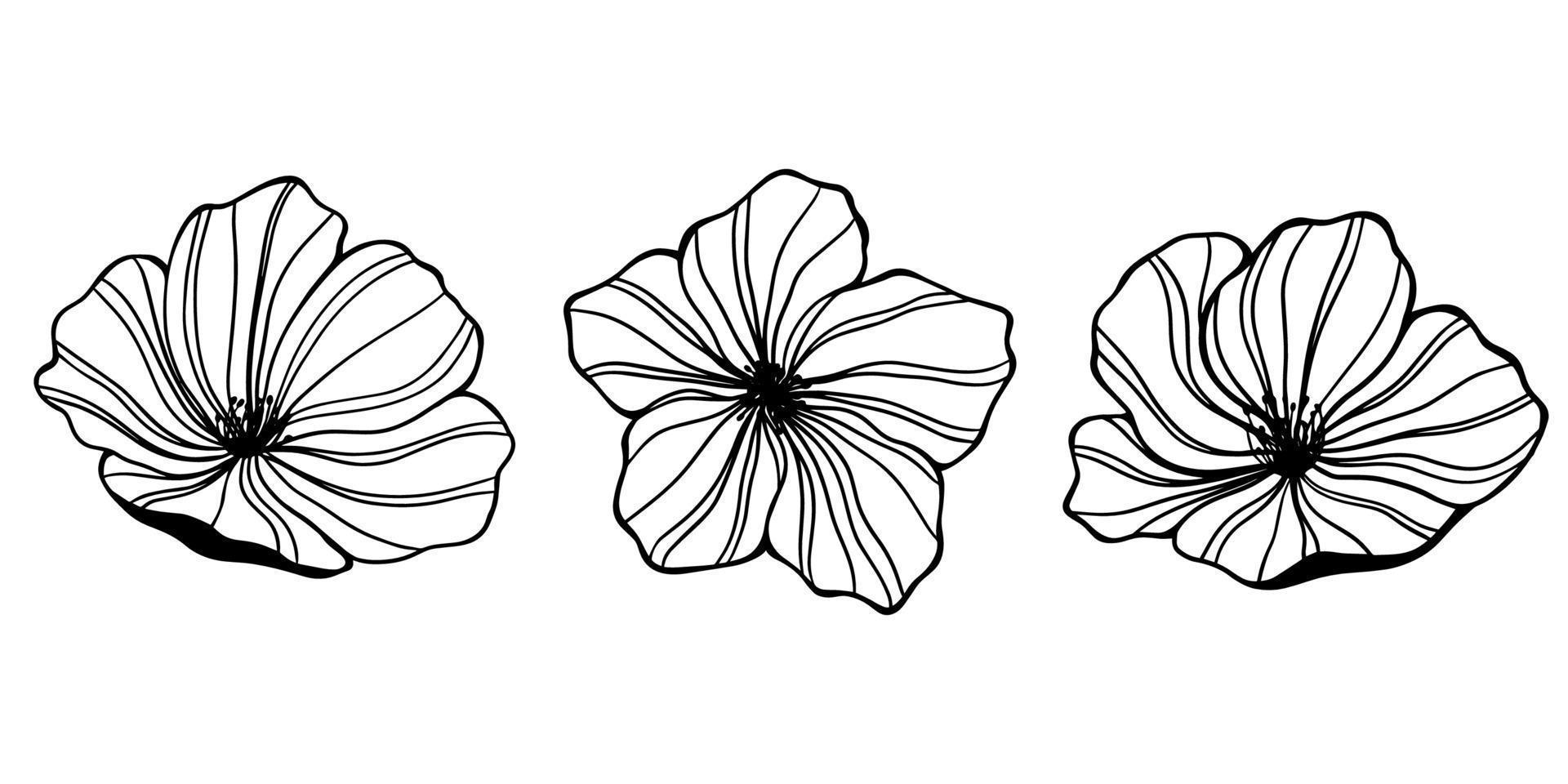 Sketch set of flower buds on a white background vector