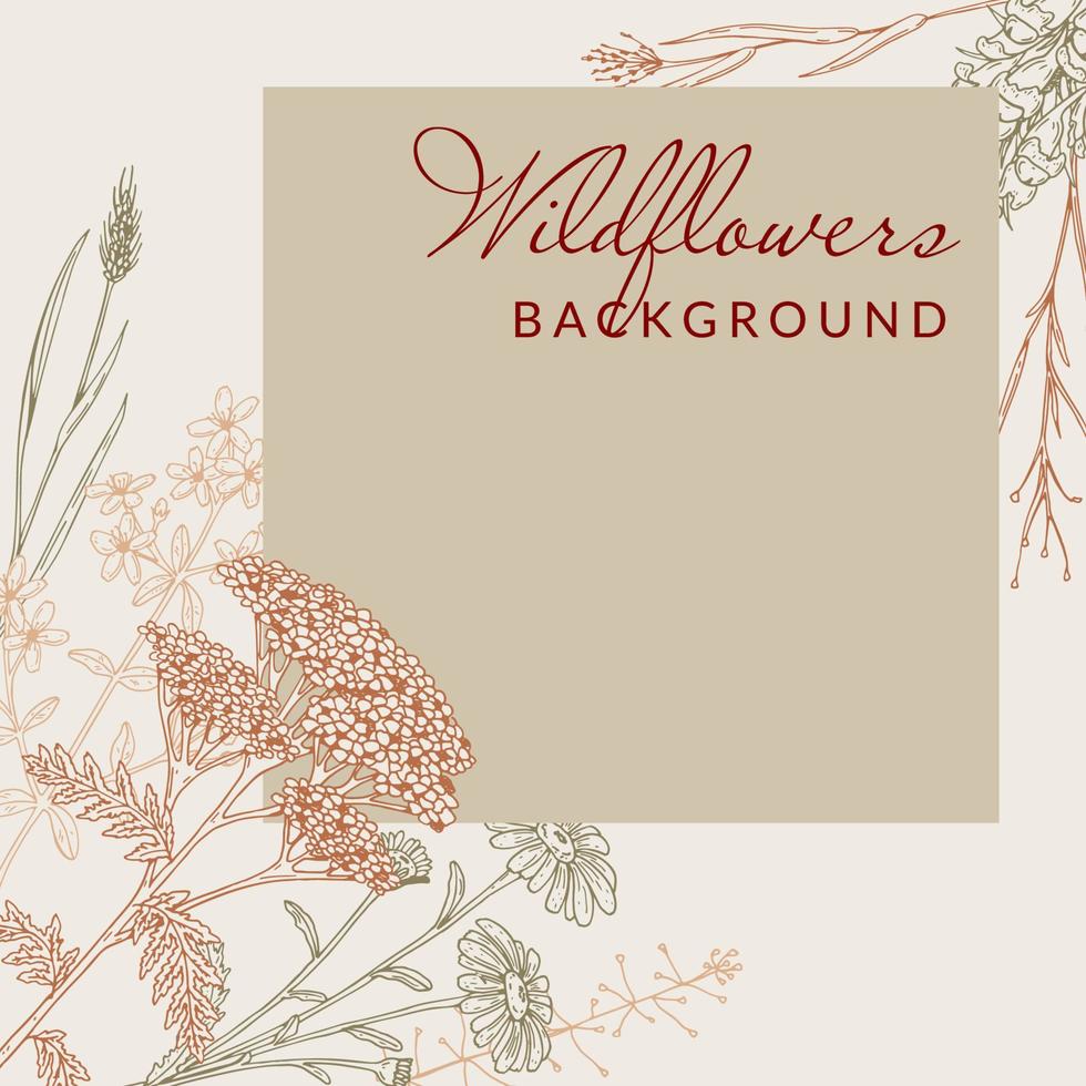 Meadow flowers social media square post template. Hand drawn field wildflowers border. Vector illustration in sketch style. Aesthetic botany design