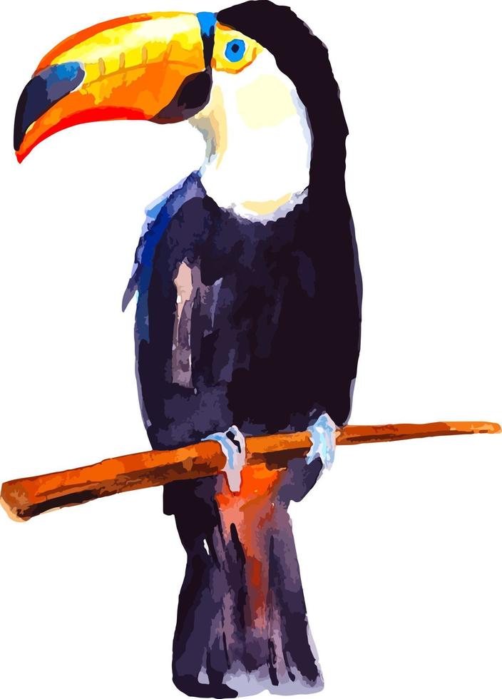 Tucano tropical bird watercolor clipart illustration vector