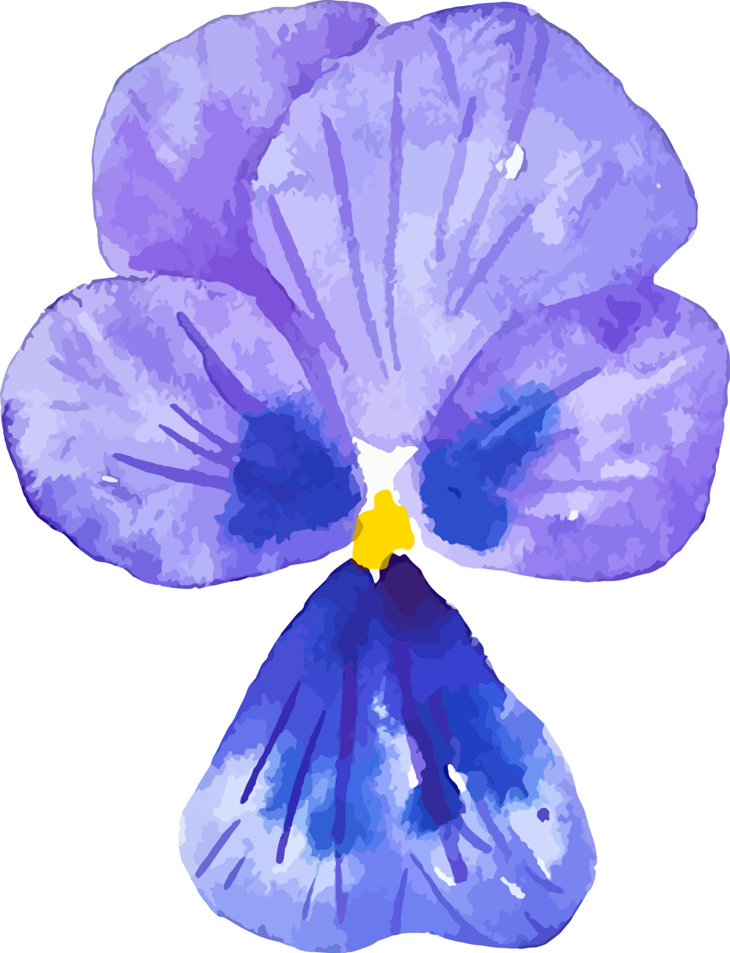 Watercolor dark violet pansy flower clipart isolated botanical