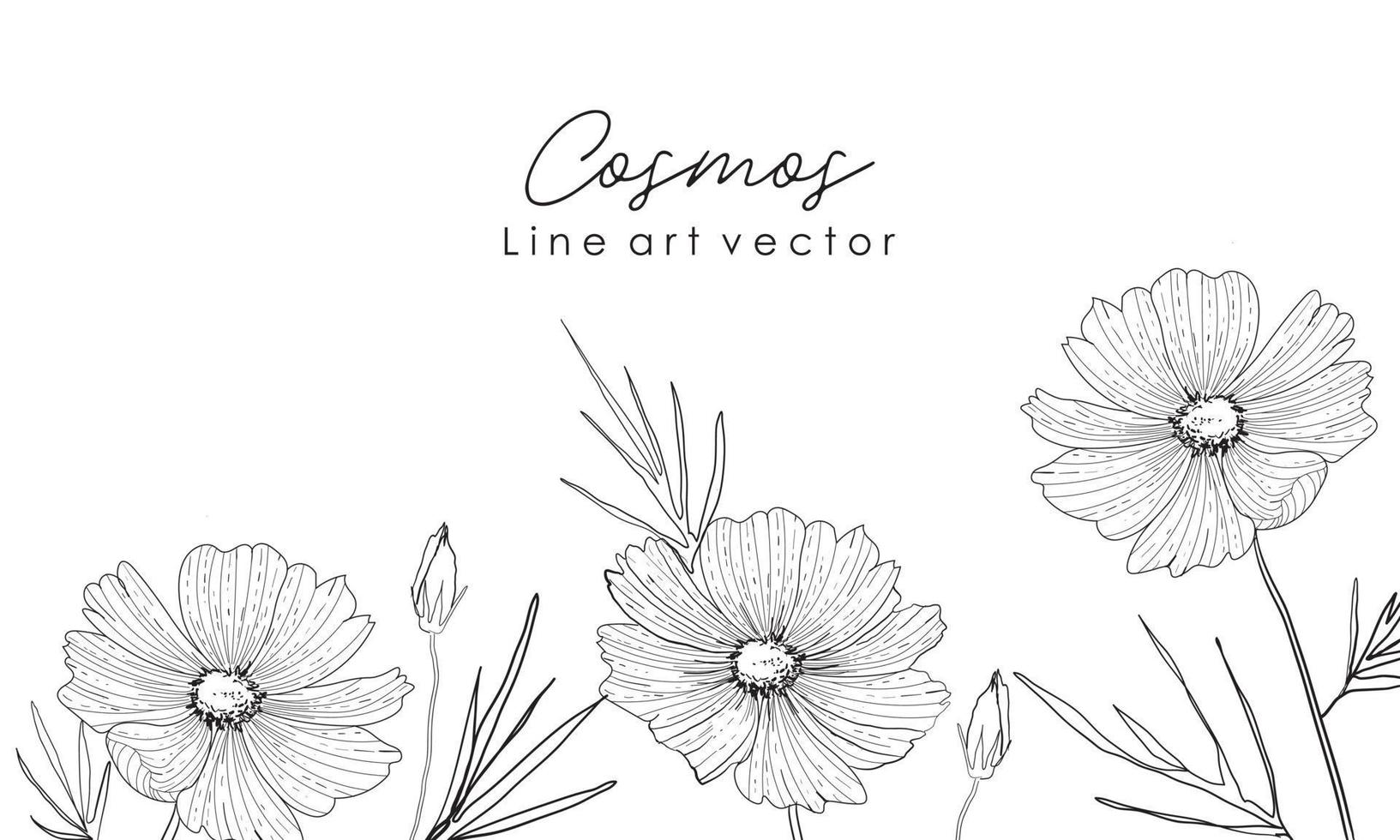 Sketch Floral Botany Collection vector