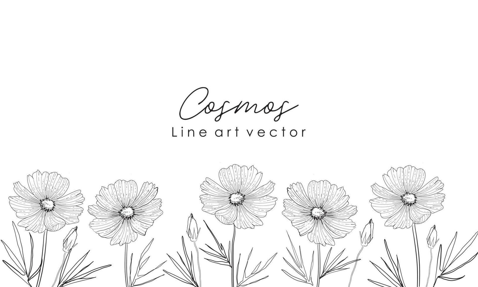 Sketch Floral Botany Collection vector