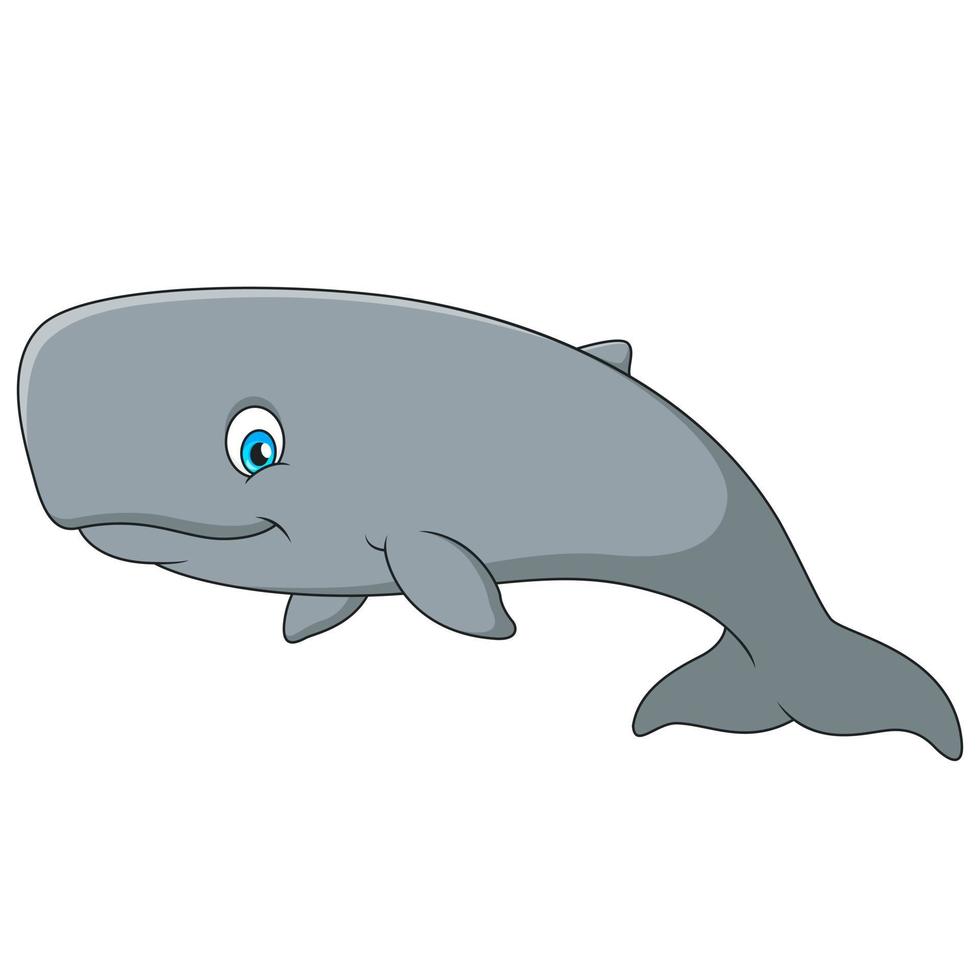 Cute sperm whale cartoon illustration vector