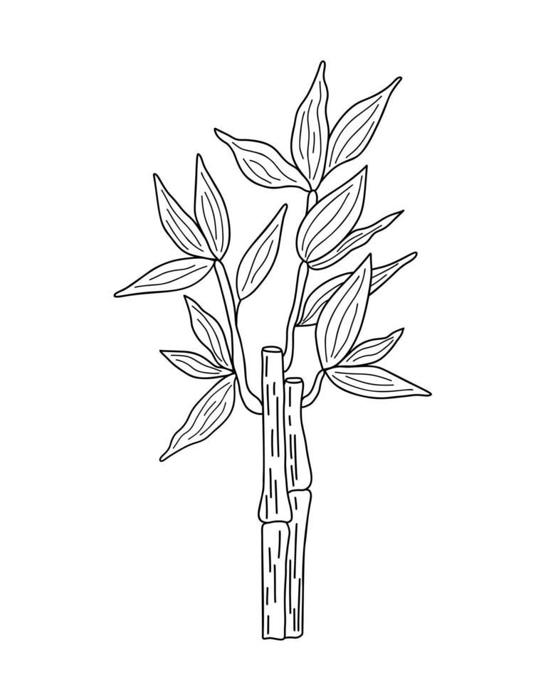 Bamboo leaves branch simple linear style vector outline illustration, traditional japanese plant, oriental decorative ornament for design, greeting card, template, banner, zen concept