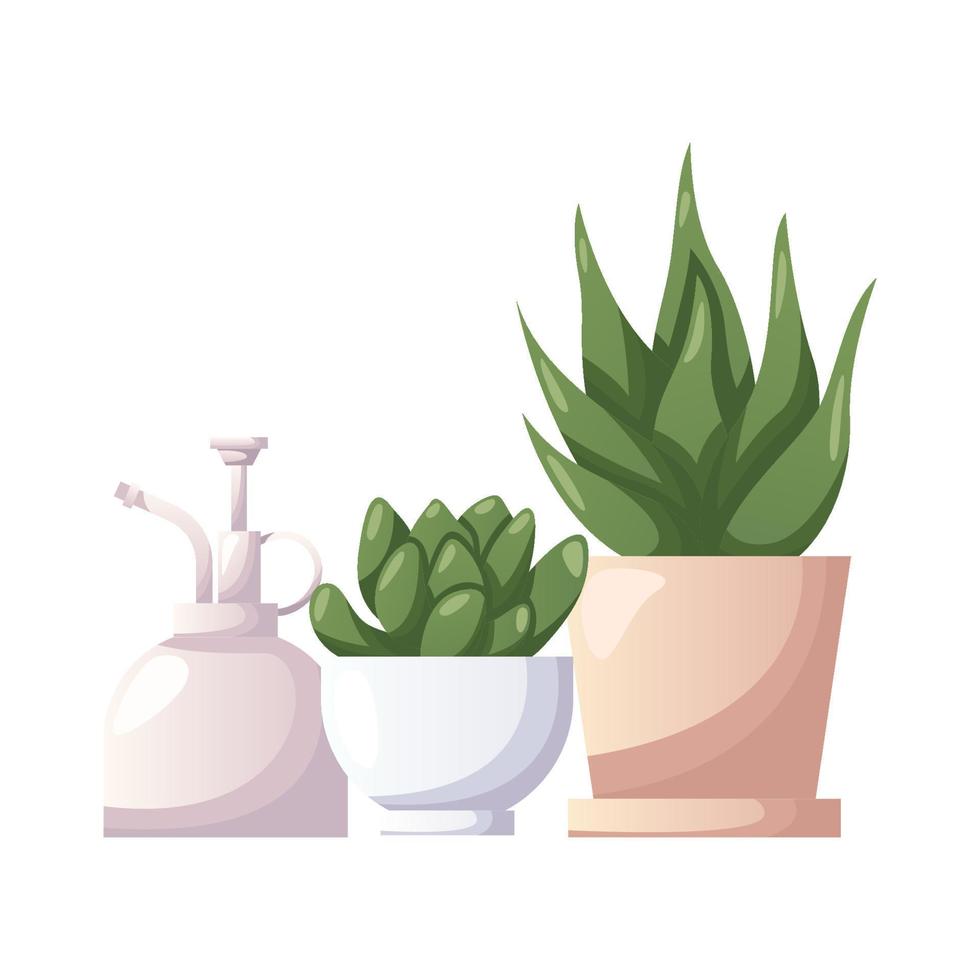 Collection of houseplants with water sprayer. Indoor potted house plant in flowerpot. Home garden, greenhouse, florarium, gardening, plant lover. Domestic store poster, banner, cover, card. vector