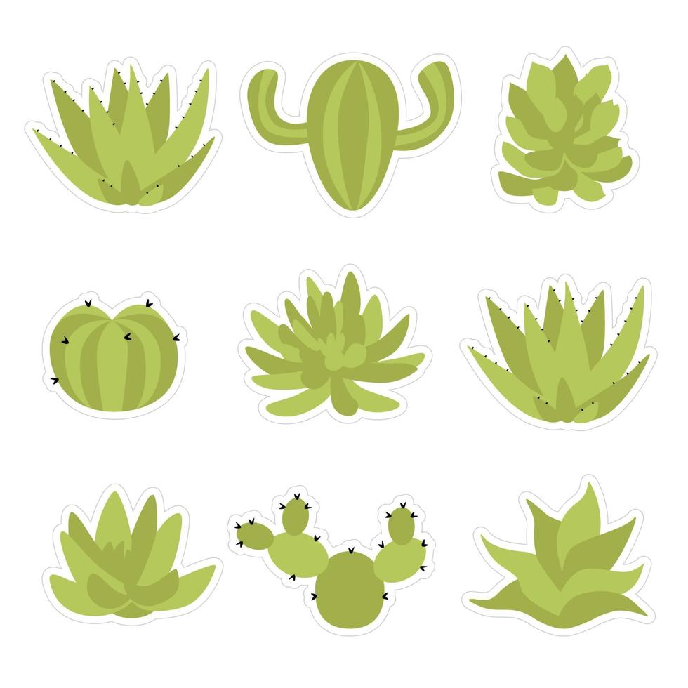 conjunto de pegatinas con verde cactus y suculentas vector