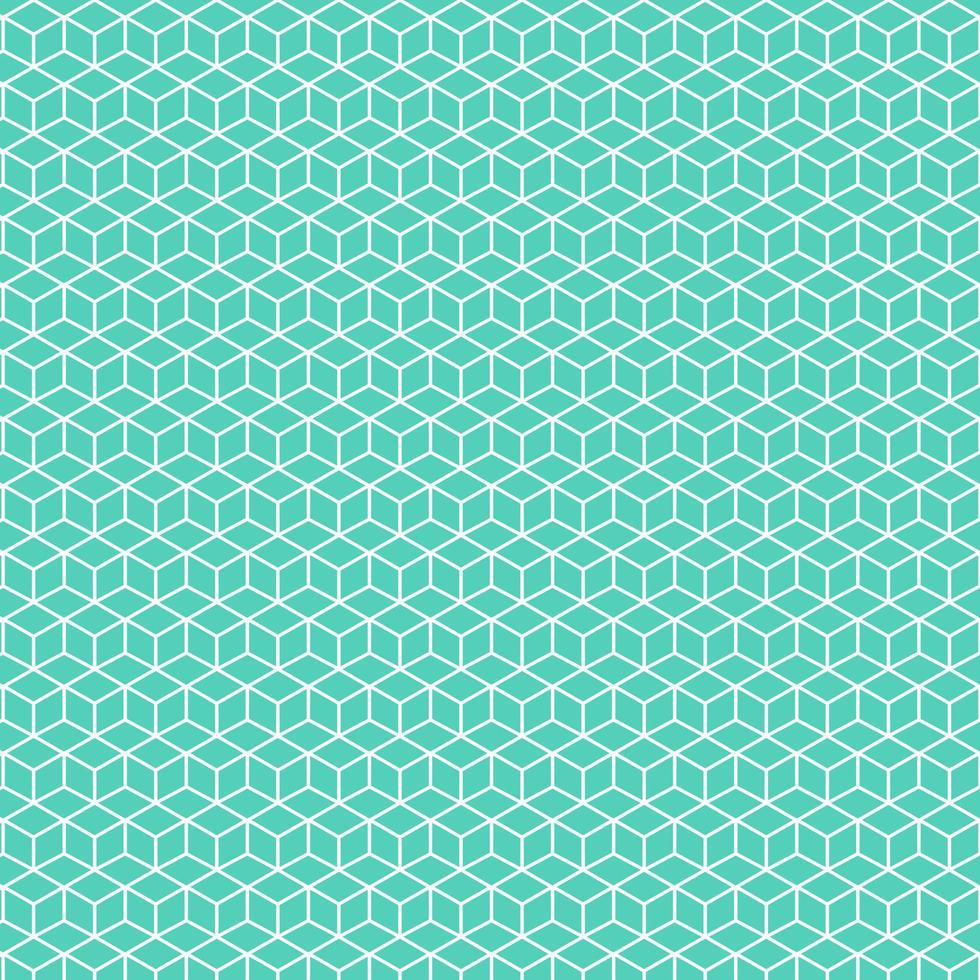 Square box white abstract lines art geometric pattern mystery boxes. Isometric cubes shape pastel green vector