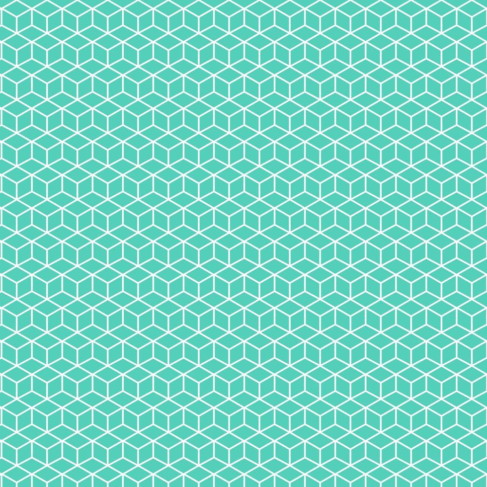 Square box white abstract lines art geometric pattern mystery boxes. Isometric cubes shape pastel green vector