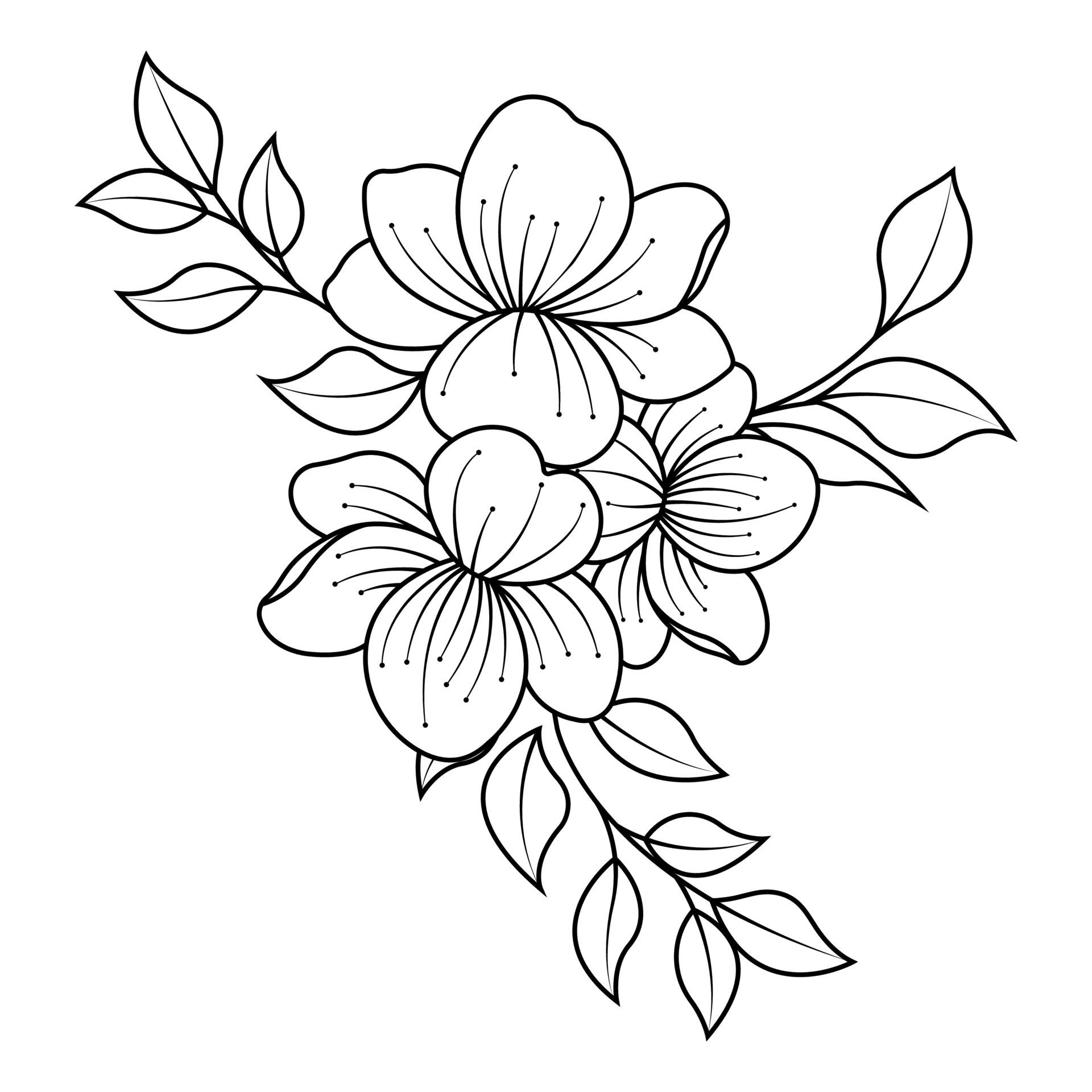 floral coloring book pages