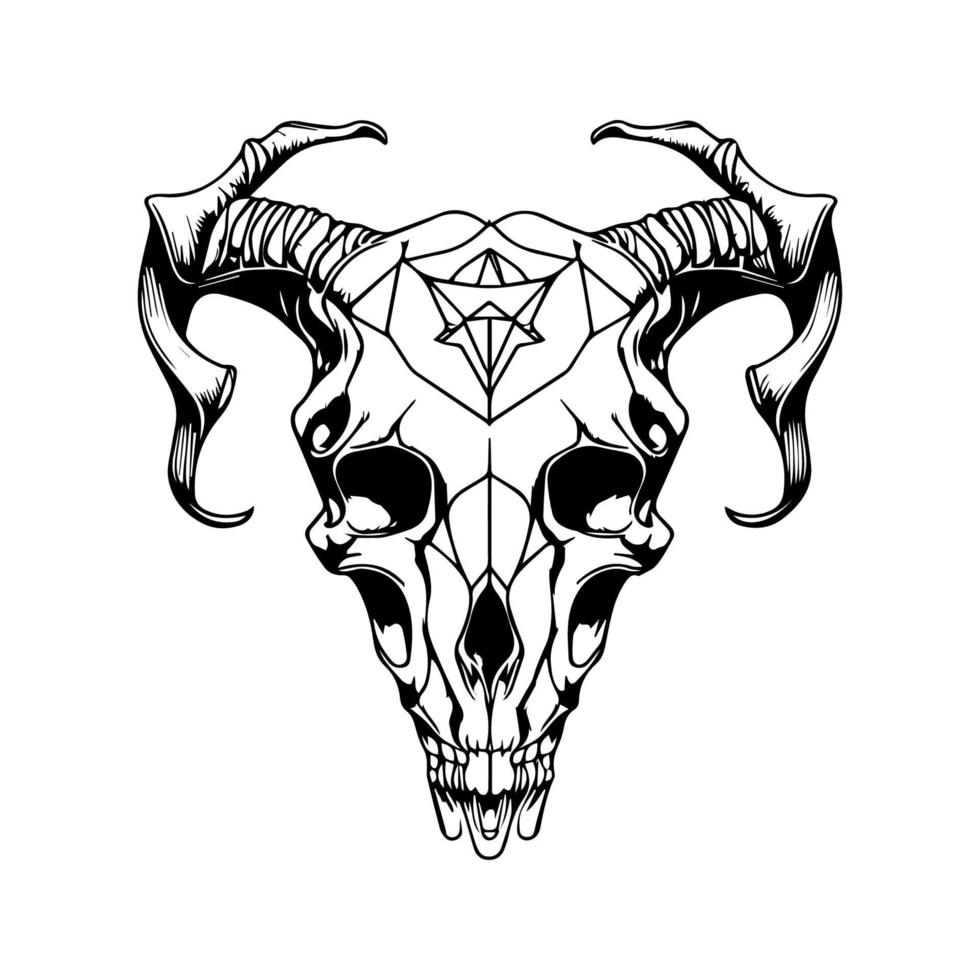 A collection of animal skull bone line art illustrations, perfect for adding a touch of nature-inspired darkness to any project vector