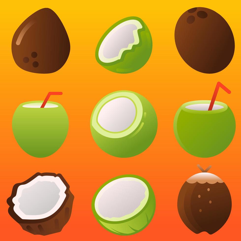 Coconut vector illustration. Icon set of coconuts for design regarding summer fresh fruit. Coconut illustration for food and beverage. Graphic resource for vegetarian, diet, healthy or tropical