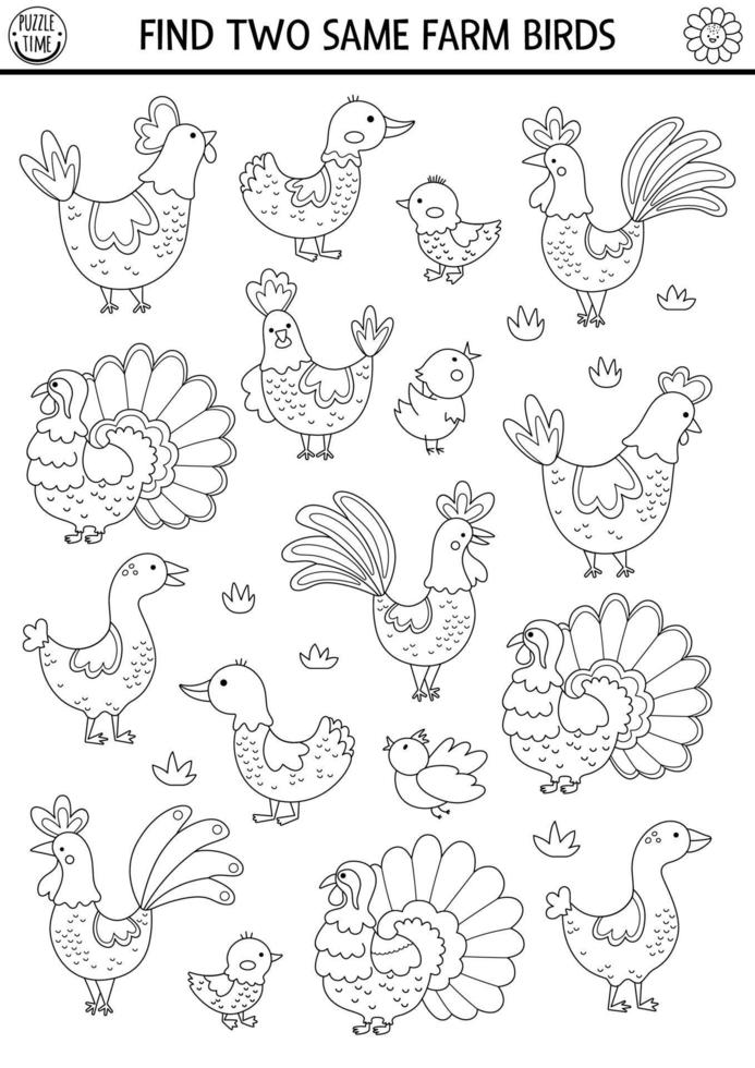 Find two same farm birds. On the farm black and white matching activity for children. Rural village coloring page for kids for attention skills. Simple printable line game with hen, rooster, goose vector
