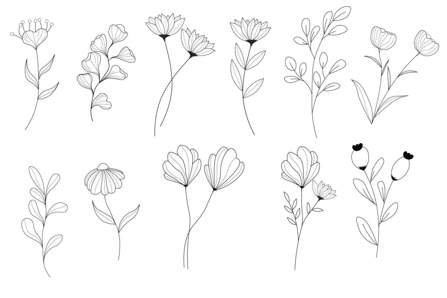 leaf and flower hand drawn line art collection vector