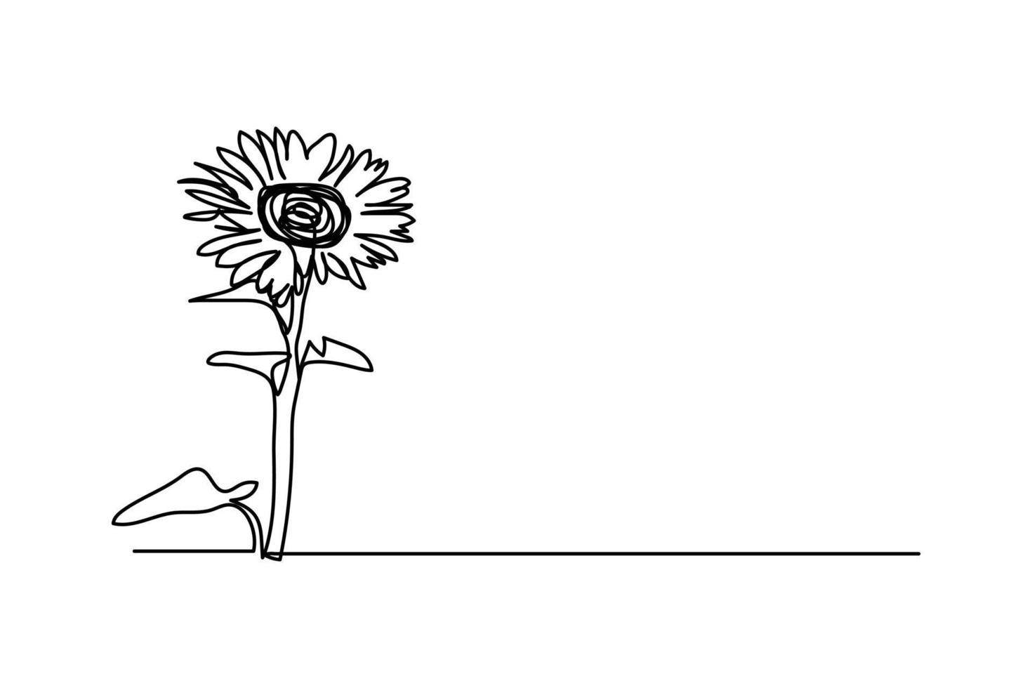 vector illustration single continuous line sunflower