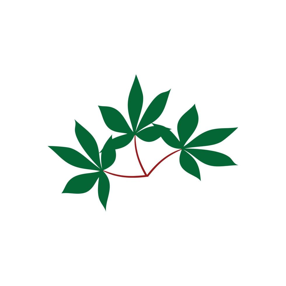 cassava leaf logo design vector