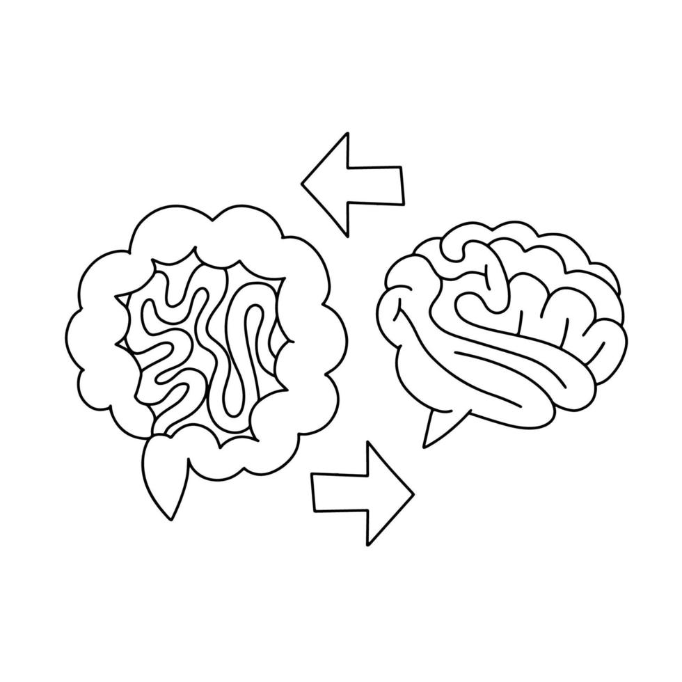 Gut Brain Axis linear concept. Brain and stomach with arrows line illustration. Brain gut connection. Psychobiotic medical scientific discovery. Vector black on white illustration