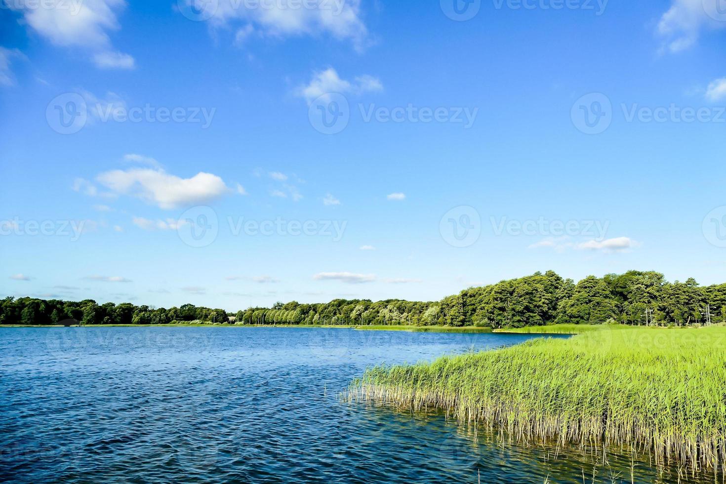 Scenic coastal view photo