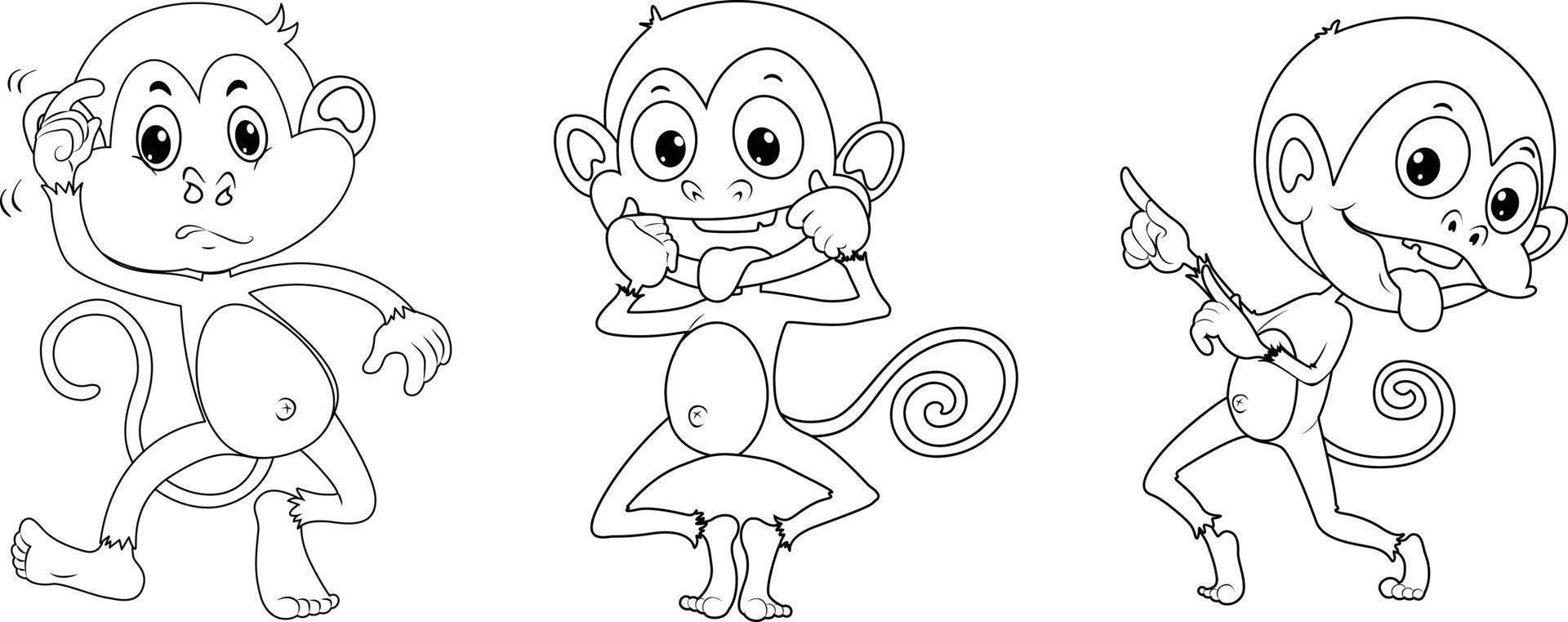 Line art of monkeys with different positions. Vector illustration for coloring pages, coloring book, etc