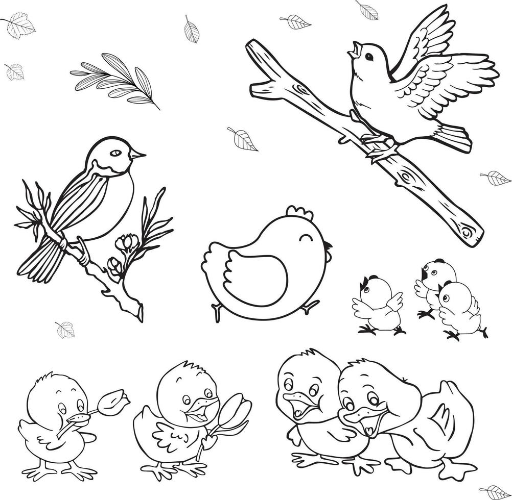 Vector illustration of birds, ducks, and chicken line art. Suitable for coloring book, coloring pages, etc