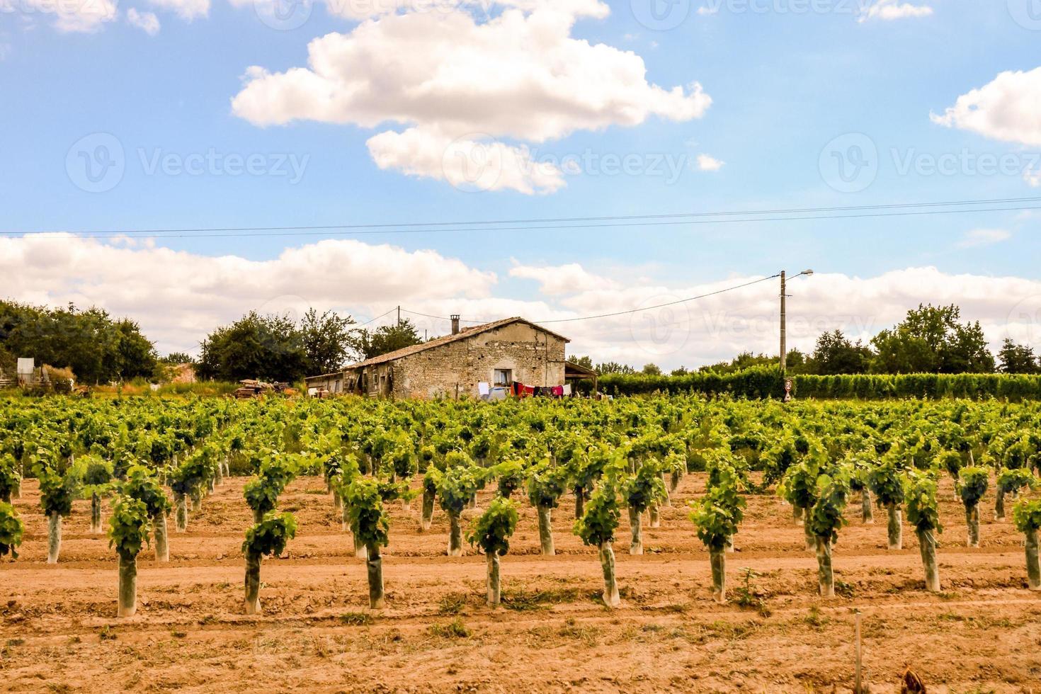 Scenic rural landscape photo