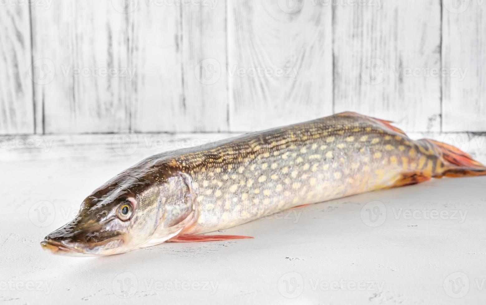 Raw spike on white background photo