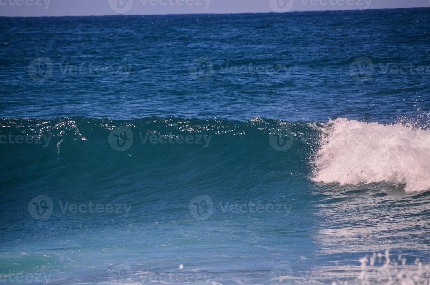 Waves in the ocean photo