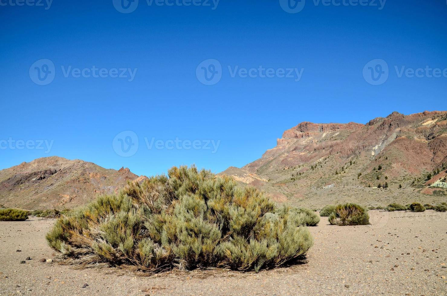 paisaje escénico de montaña foto