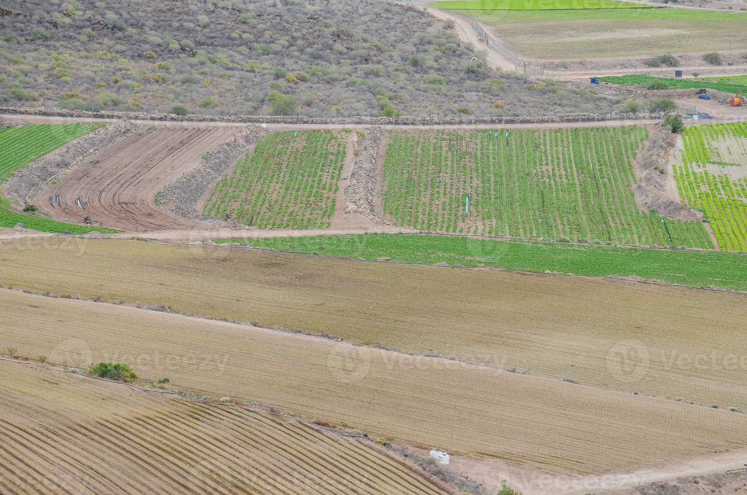 View of the field photo