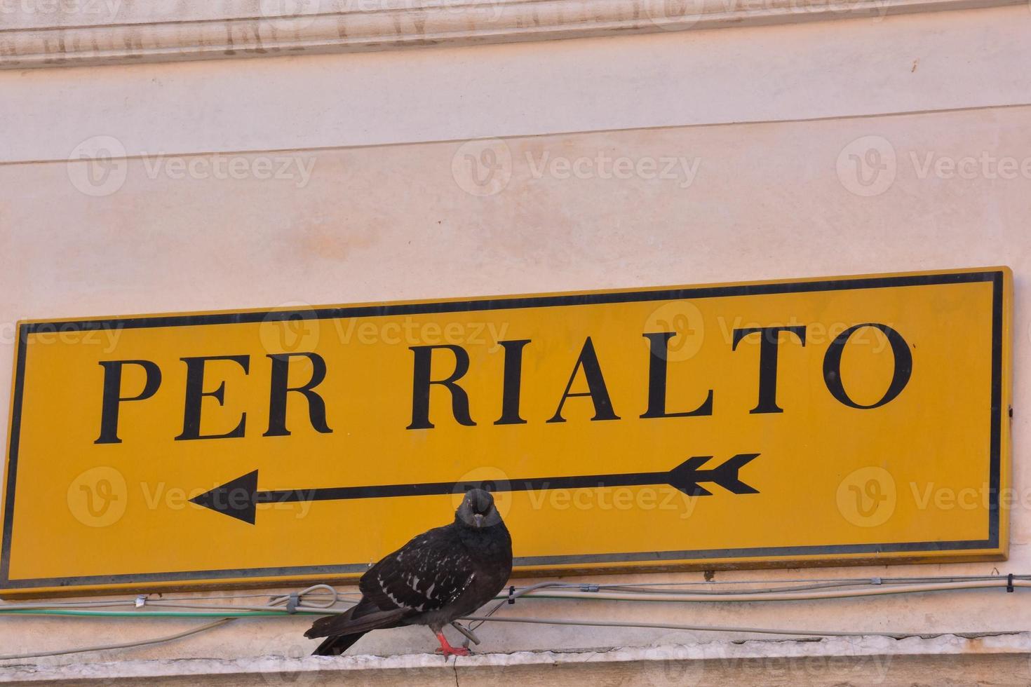 Pigeon next to the sign photo