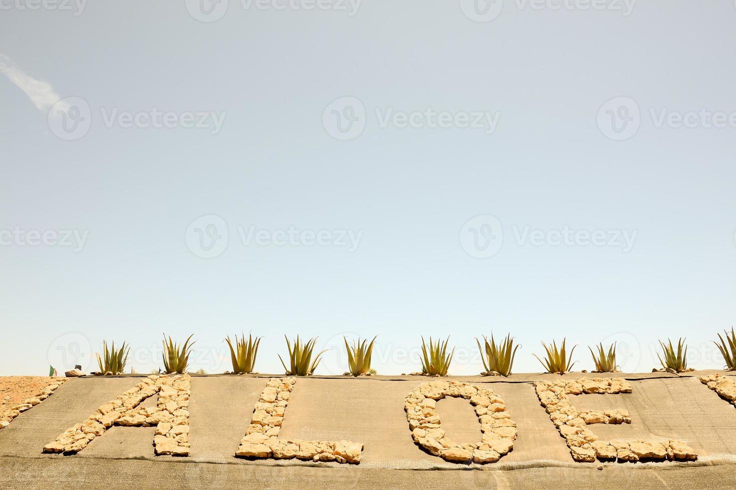 Aloe plant sign photo