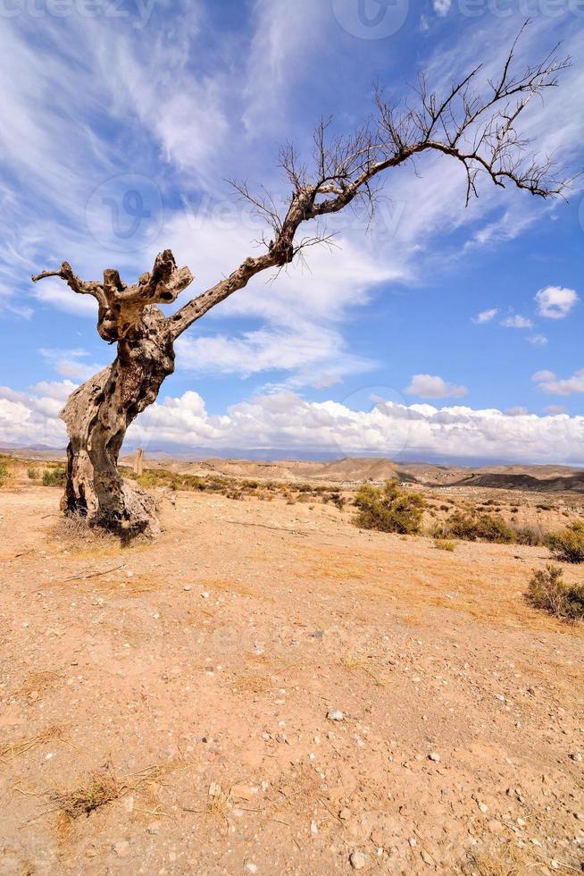 Scenic desert landscape photo