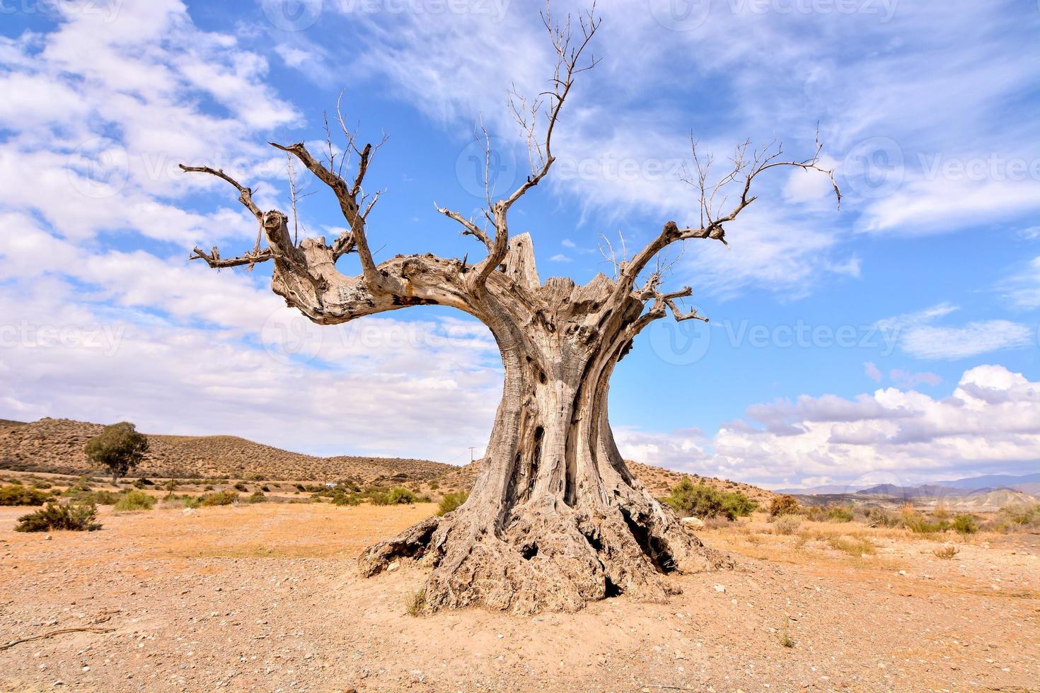Scenic desert landscape photo