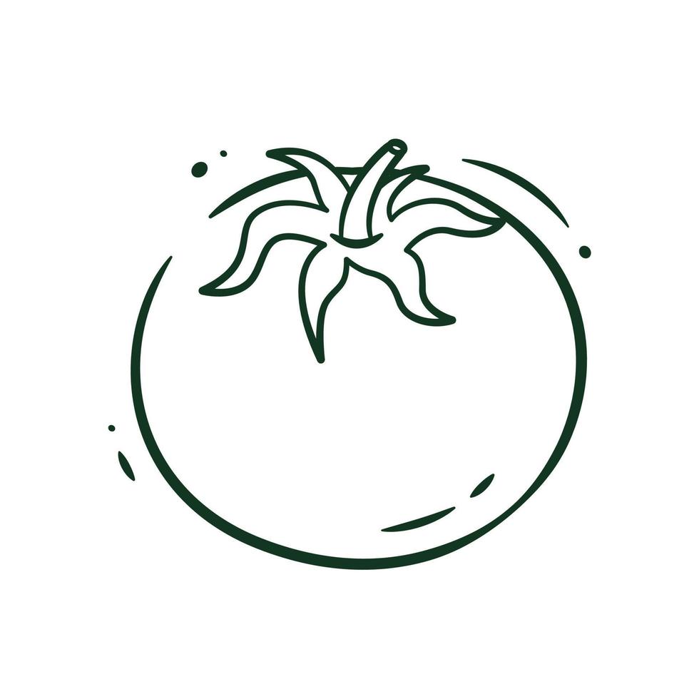 Illustration vector graphic of Tomato