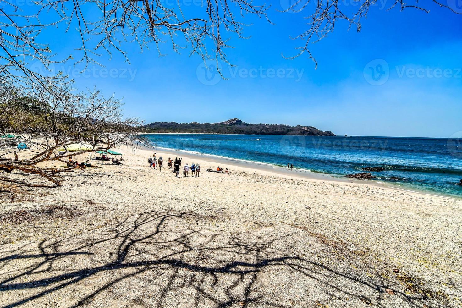 Scenic coastal view photo