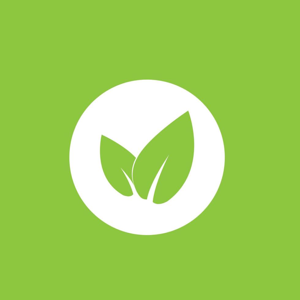 ecología hojas icono aislado en blanco antecedentes. vector ilustración para gráfico diseño o ecología contenido