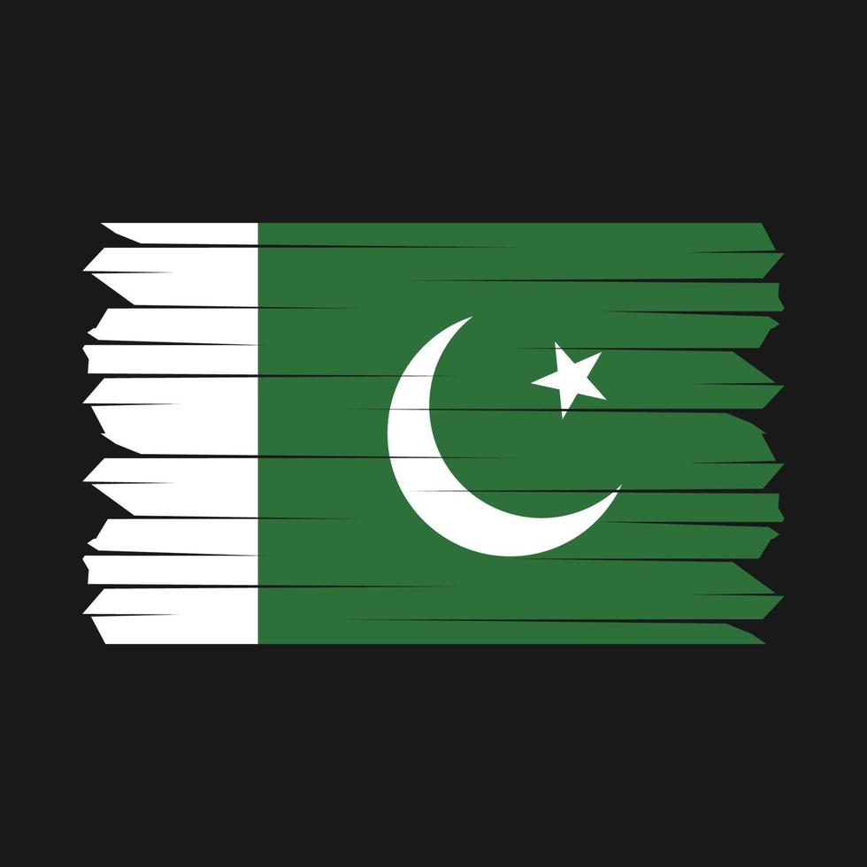 cepillo de bandera de pakistán vector