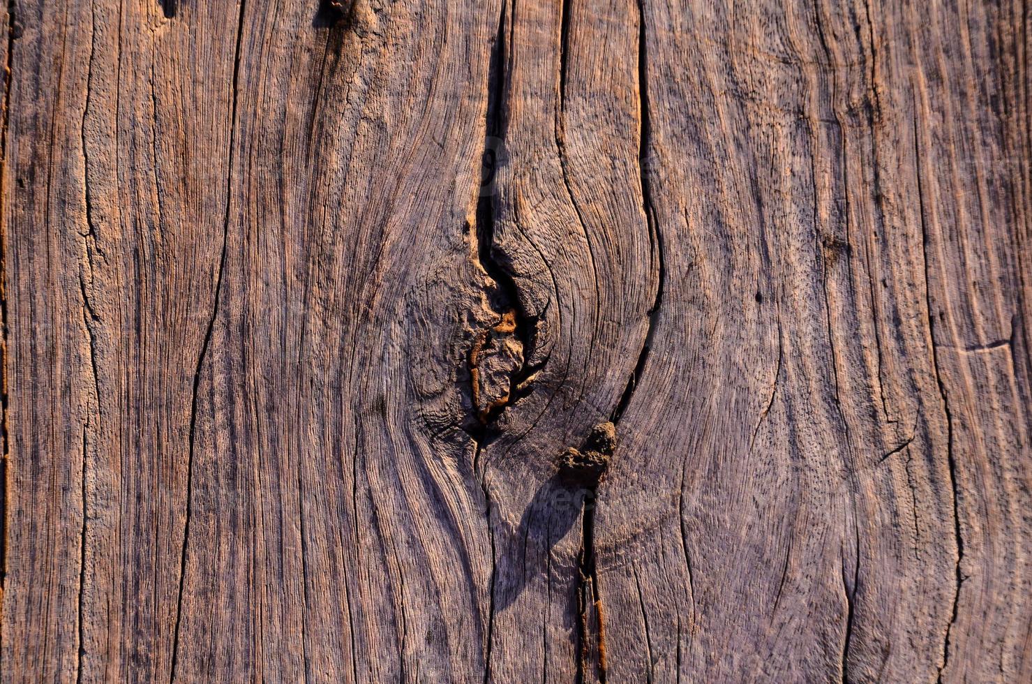 textura de madera de cerca foto