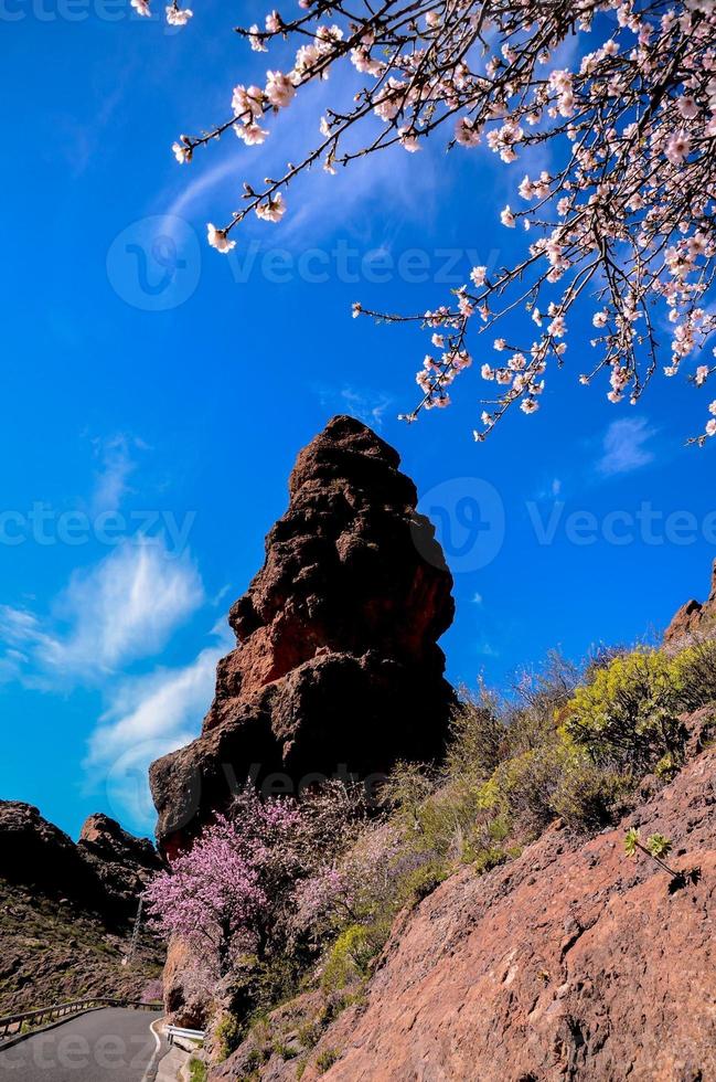 Scenic rocky landscape photo