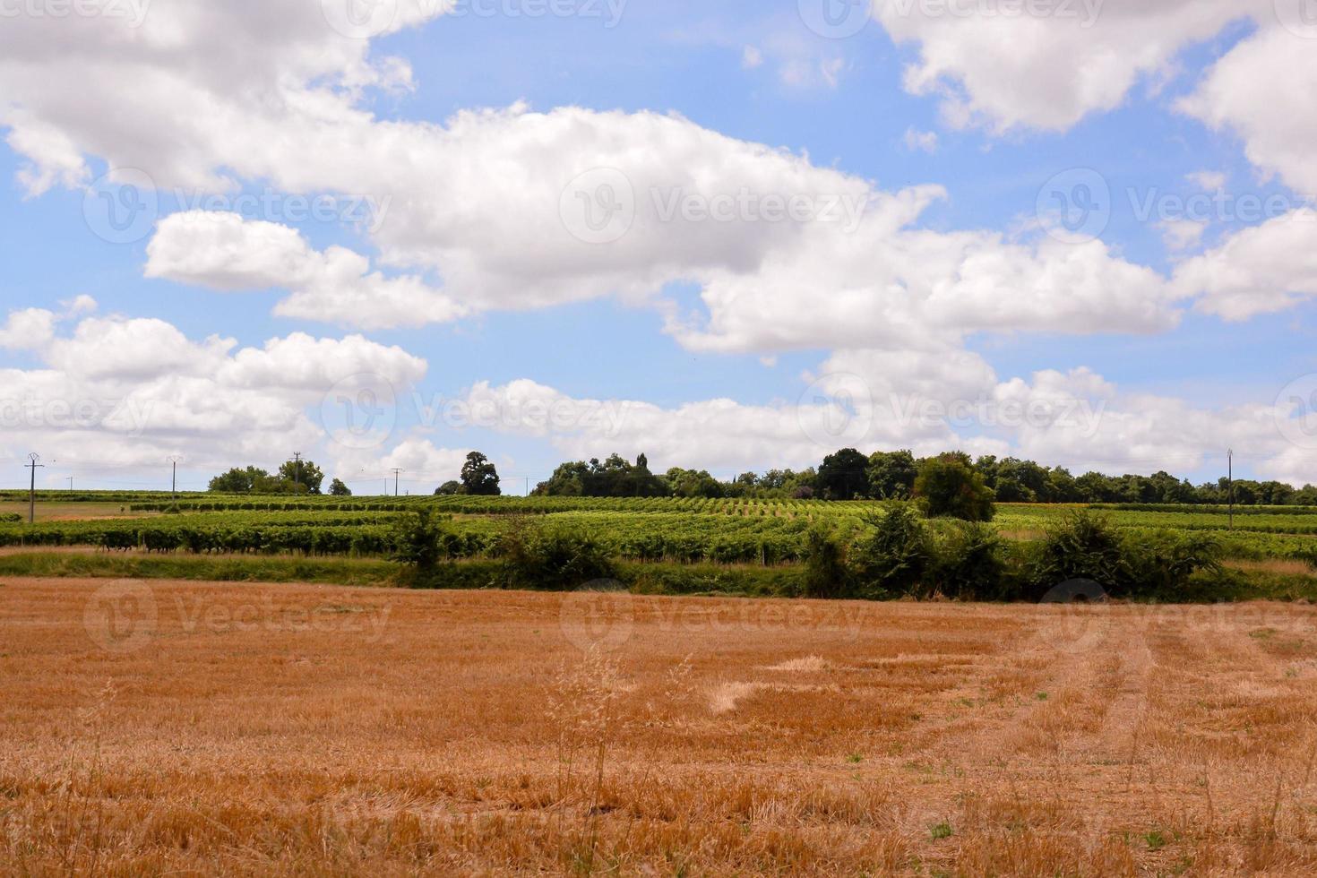Scenic rural landscape photo
