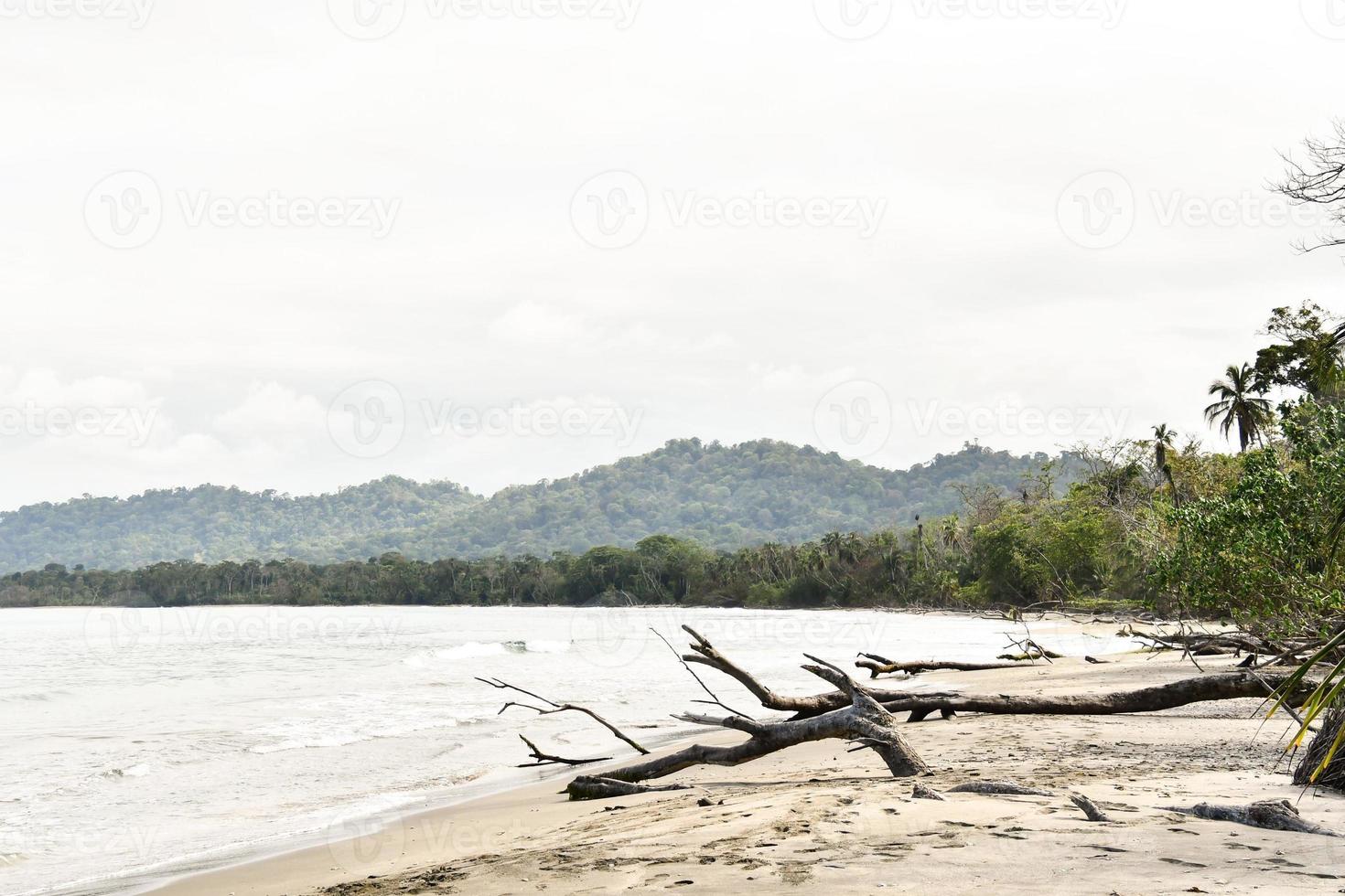 Scenic coastal view photo