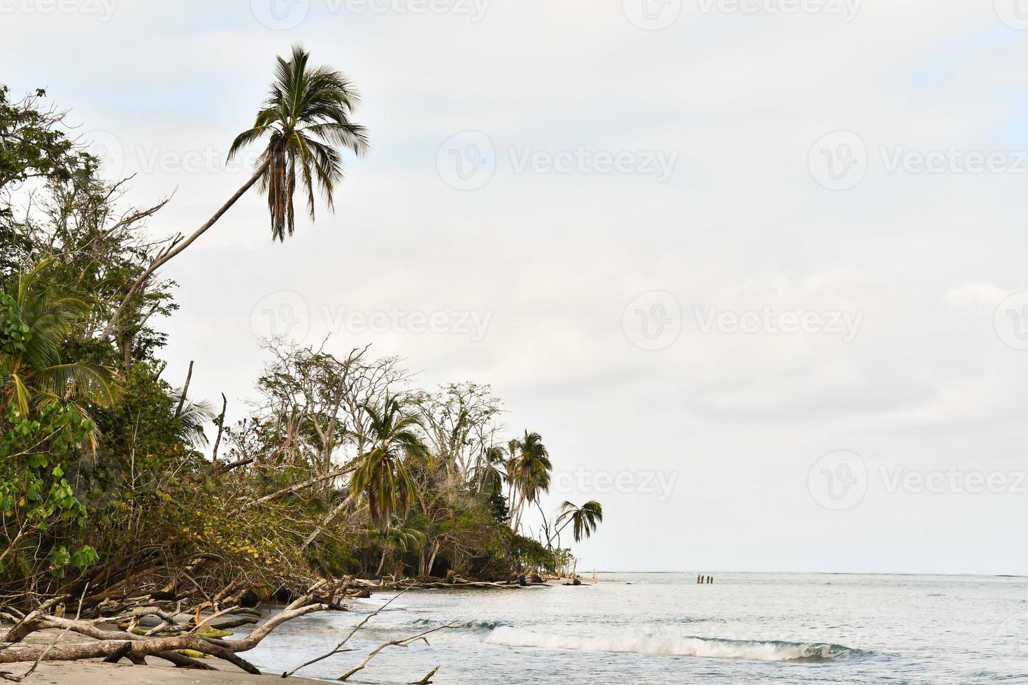 Scenic coastal view photo